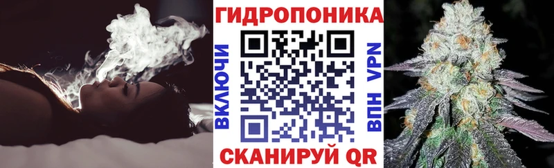 Бошки Шишки планчик  Купить закладки  Шенкурск 